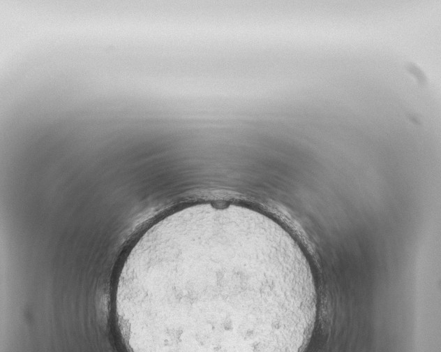 X0000115420063200912011255