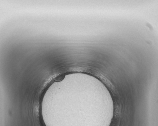 X0000115420064200912011255