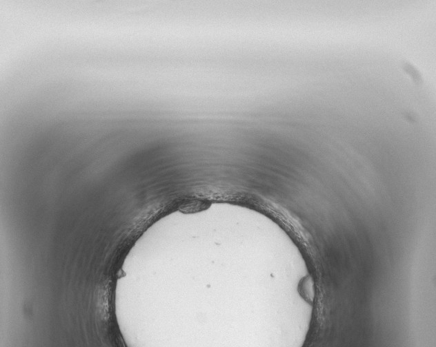 X0000115420065200912011255