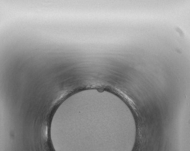 X0000115420067200912011255