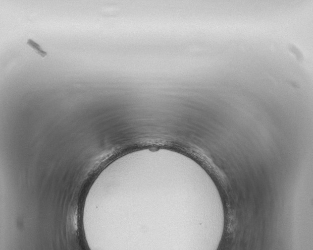 X0000115420068200912011255