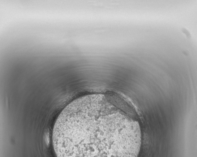 X0000115420069200912011255