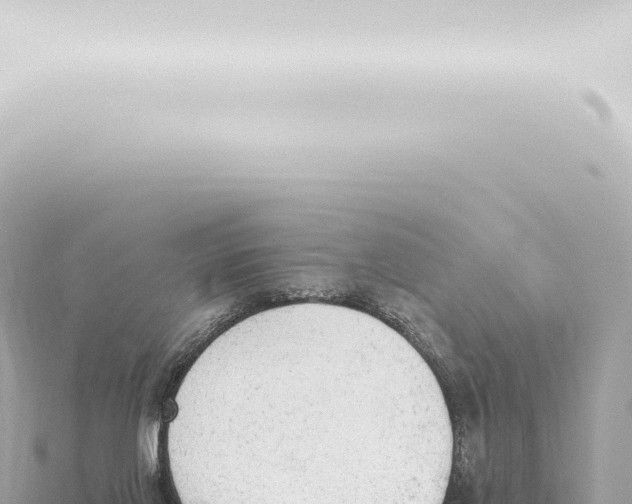 X0000115420070200912011255