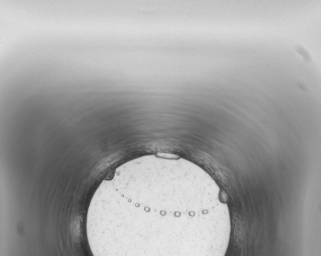 X0000115420071200912011255