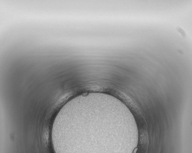 X0000115420072200912011255