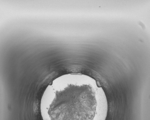 X0000115420073200912011255