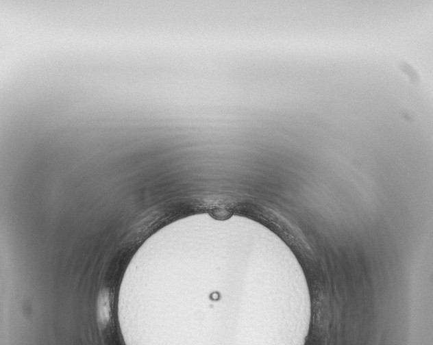 X0000115420075200912011255