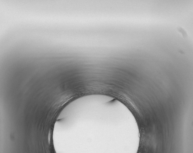 X0000115420076200912011255