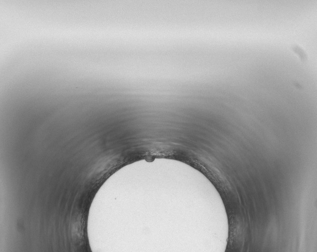 X0000115420078200912011255