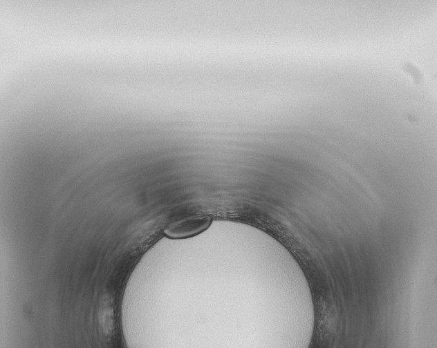 X0000115420080200912011255