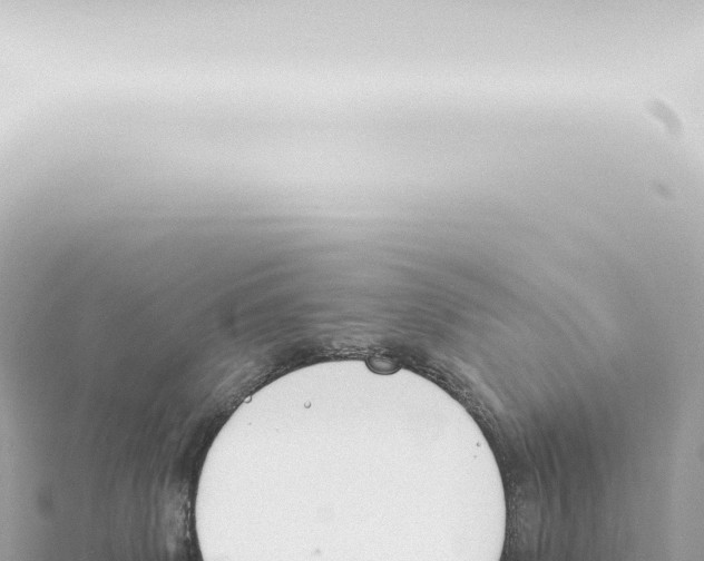 X0000115420083200912011255