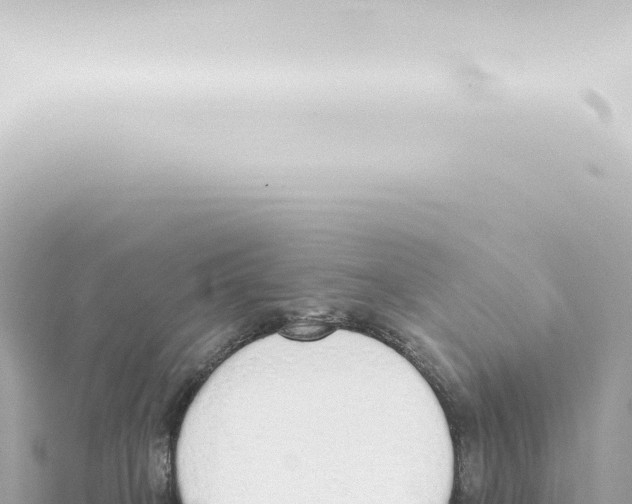 X0000115420085200912011255