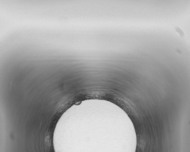 X0000115420086200912011255