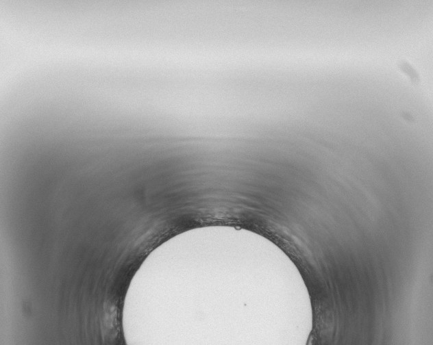 X0000115420087200912011255