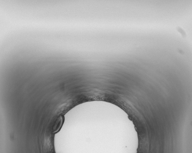 X0000115420088200912011255