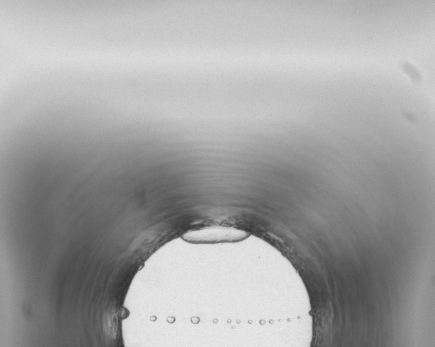 X0000115420090200912011255