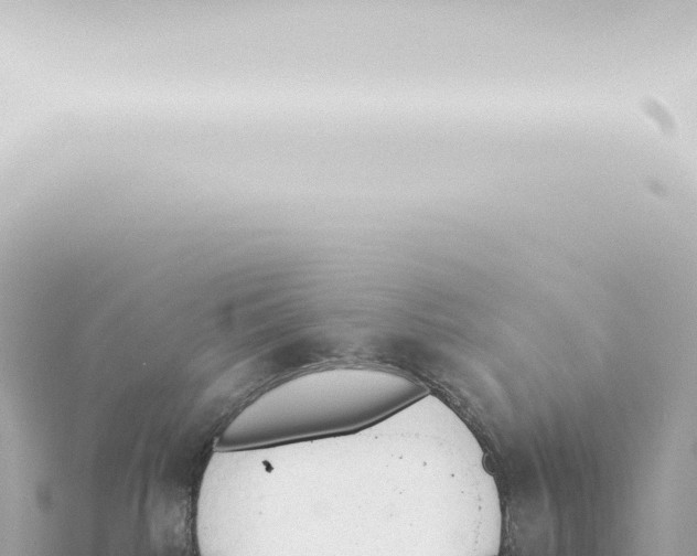 X0000115420092200912011255