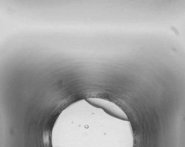 X0000115420094200912011255