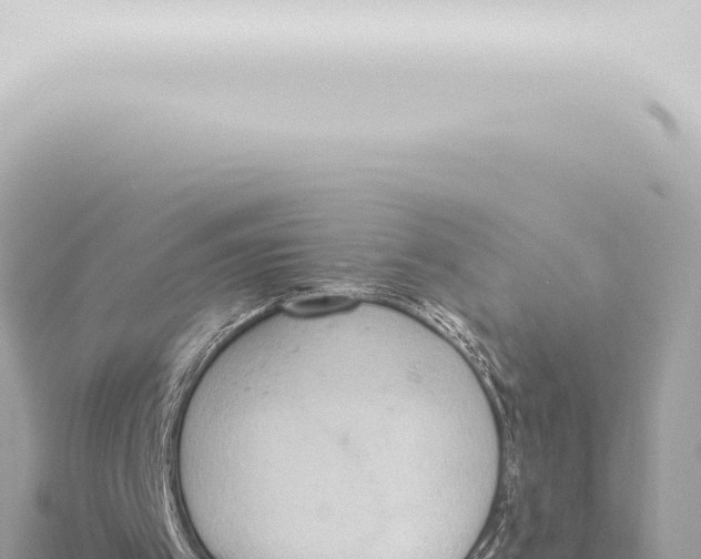 X0000115420097200912011254