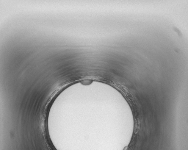 X0000115420098200912011254