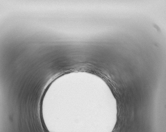 X0000115420100200912011254