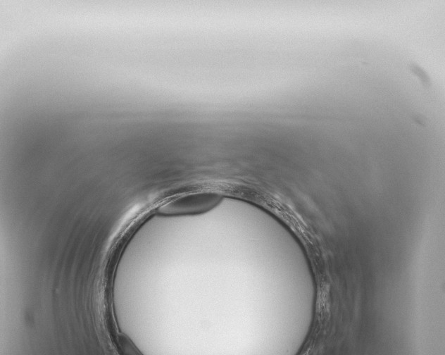 X0000115420101200912011254