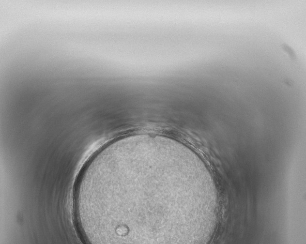 X0000115420102200912011254