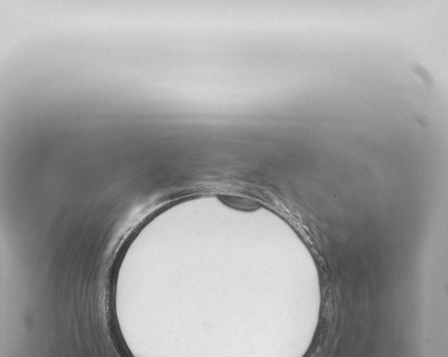 X0000115420103200912011254