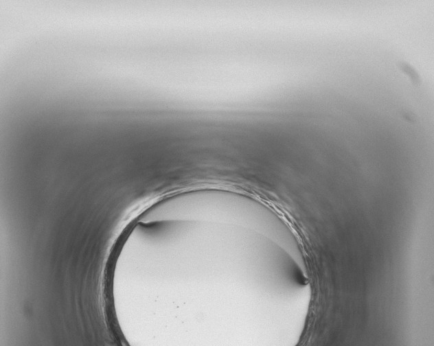 X0000115420104200912011254