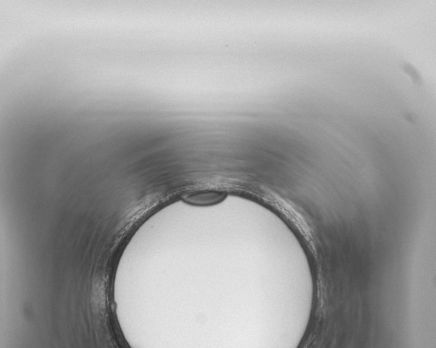 X0000115420105200912011254