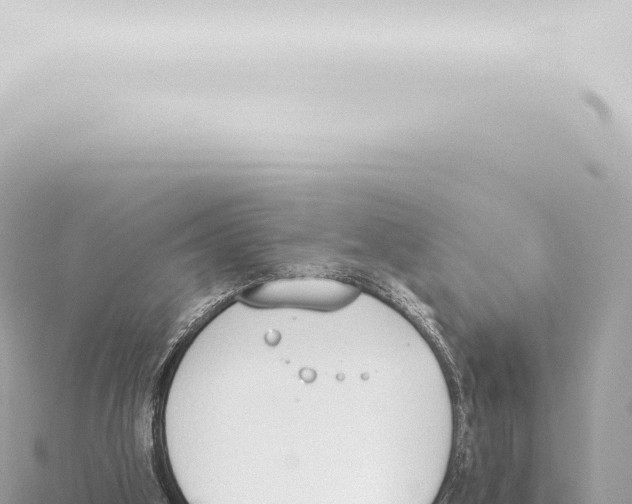 X0000115420106200912011254