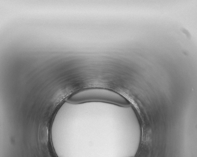 X0000115420109200912011254