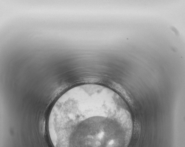 X0000115420110200912011254