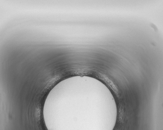 X0000115420113200912011254