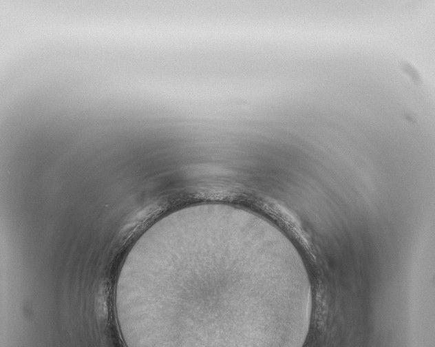 X0000115420114200912011254