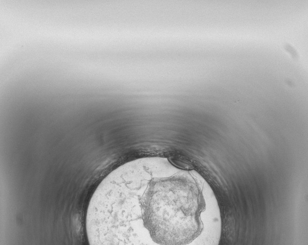 X0000115420131200912011254