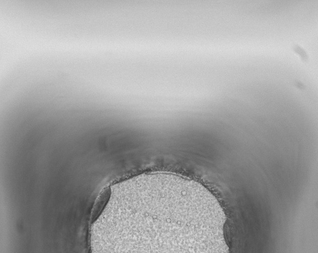 X0000115420144200912011254