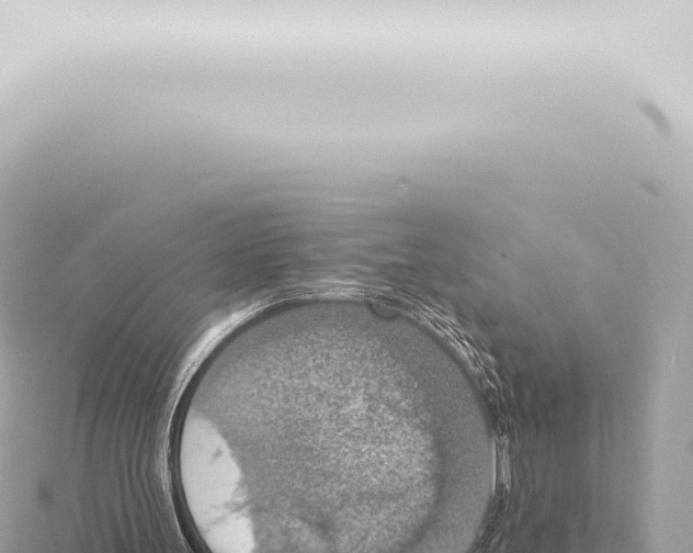 X0000115420147200912011253