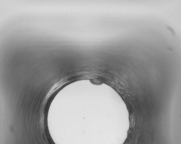 X0000115420150200912011253