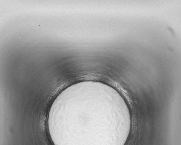 X0000115420153200912011253