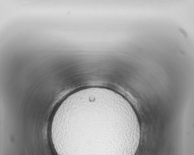 X0000115420155200912011253