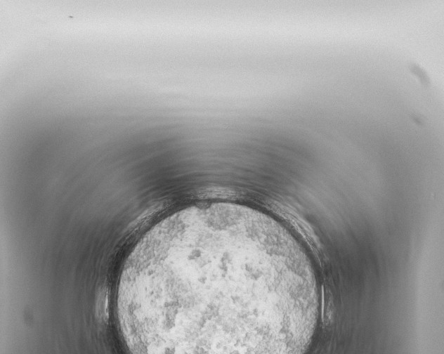 X0000115420157200912011253