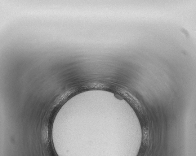 X0000115420158200912011253