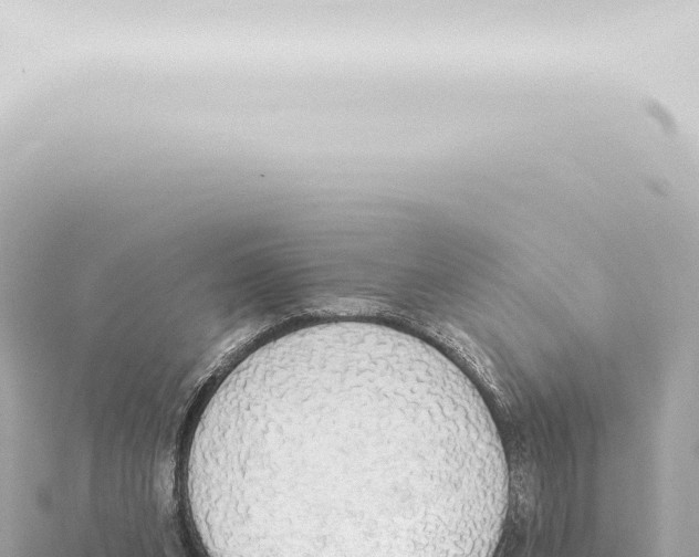 X0000115420159200912011253