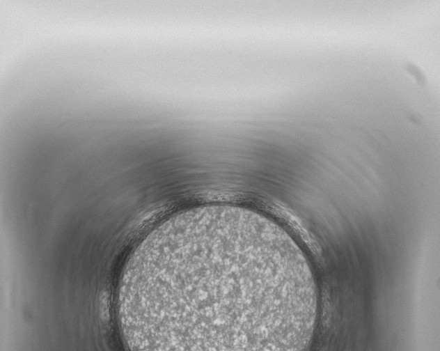 X0000115420161200912011253