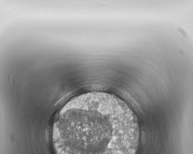 X0000115420165200912011253