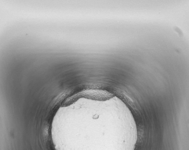 X0000115420166200912011253