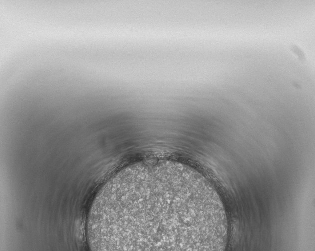 X0000115420177200912011254