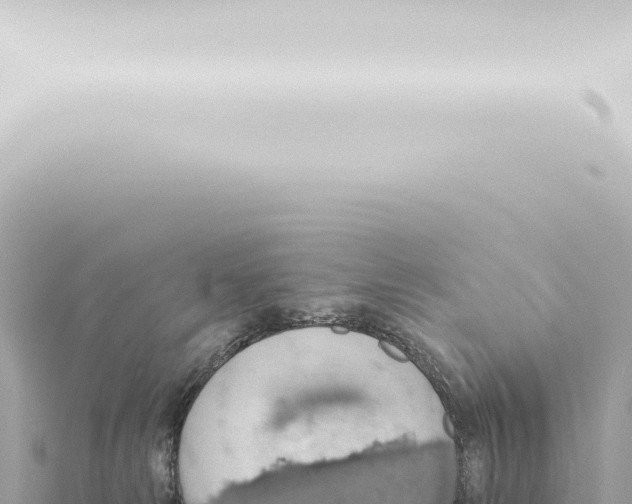 X0000115420181200912011254