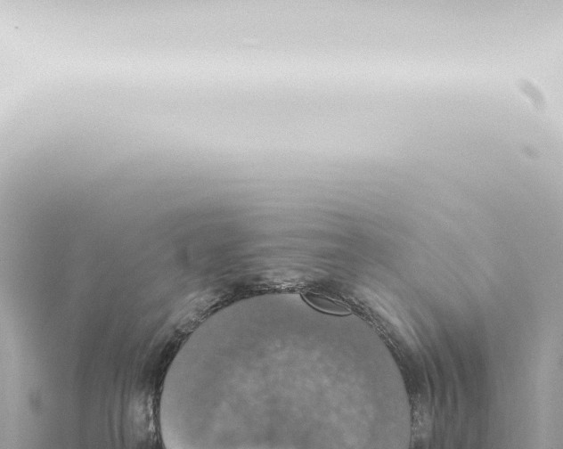 X0000115420182200912011254